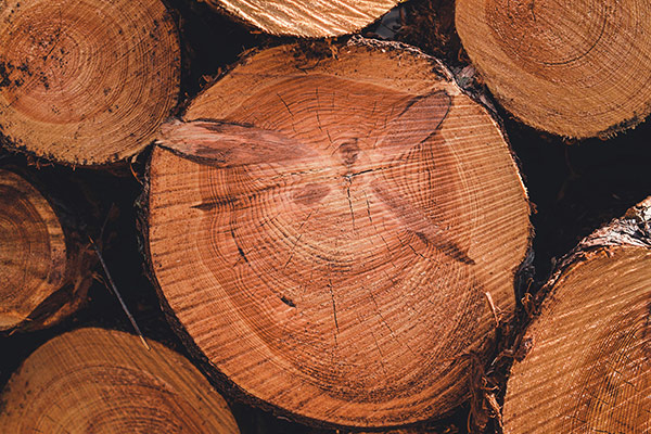 Sostenibilidad y responsabilidad ambiental en suelos de madera